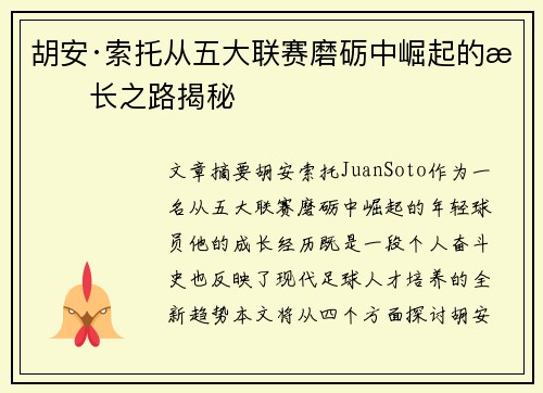 胡安·索托从五大联赛磨砺中崛起的成长之路揭秘